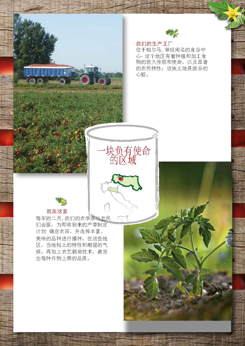 Greci Tomato Folder （翻译）_页面_03.png