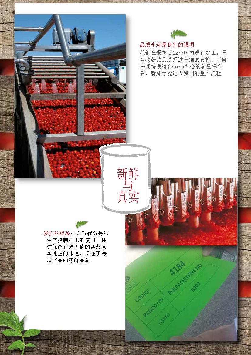 Greci Tomato Folder （翻译）_页面_06.png