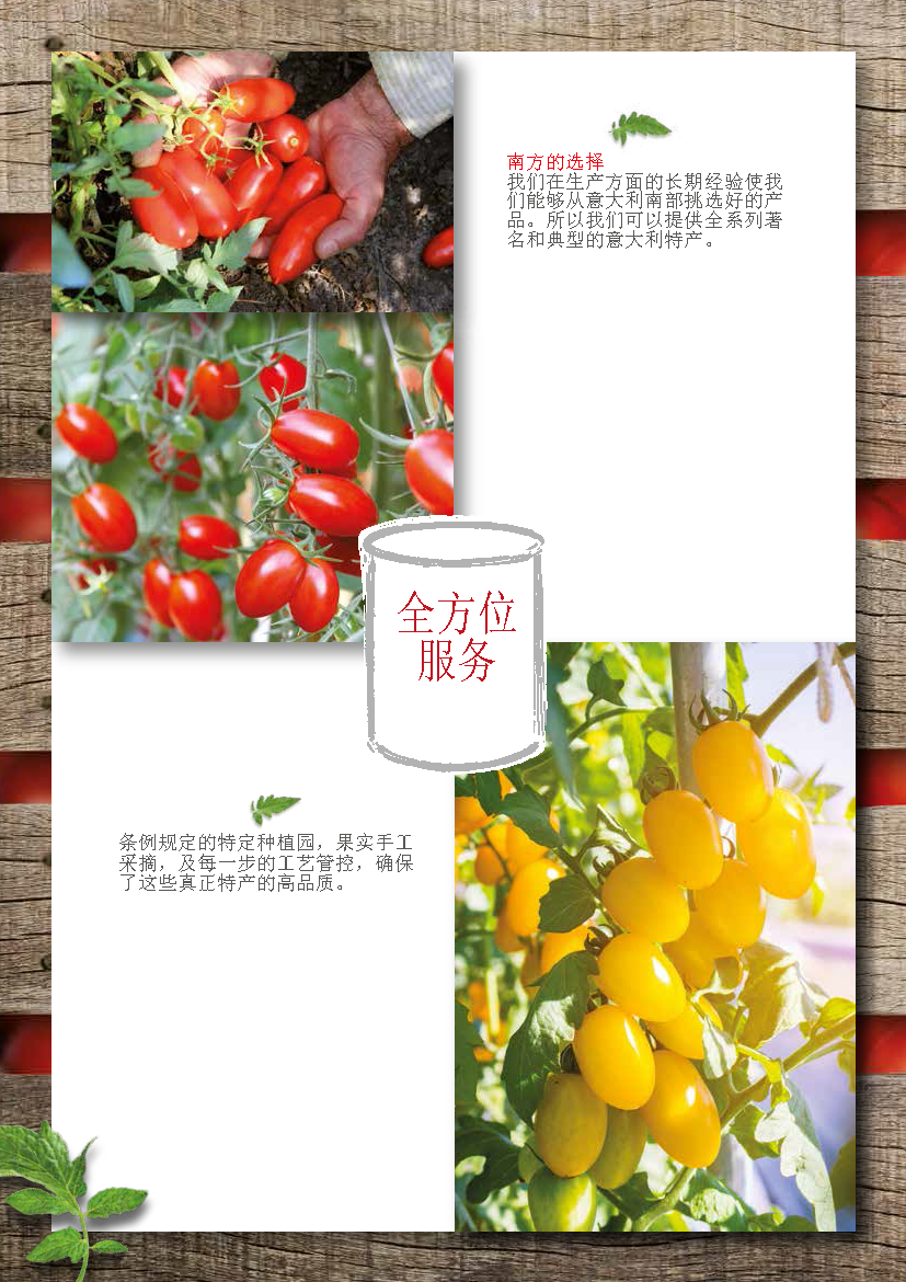 Greci Tomato Folder （翻译）_页面_08.png