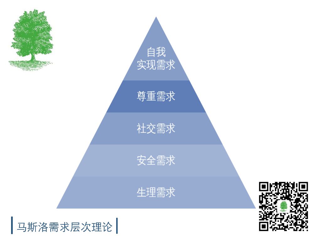 1576460017124081.jpg